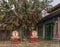 Blessing Drums and Bodhi Wishing Tree at Ngong Ping Village, Lantau, Hong Kong