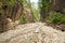 Bletterbach Gorge in the Dolomites in Italy