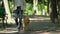 Blind man holding guide dog harness, safely walking with trained pet in park