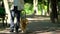 Blind man holding guide dog harness, safely walking with trained pet in park
