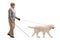 Blind mature man walking with the help of a dog