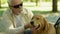 Blind owner feeding and petting his guide dog, best friend and assistance