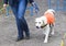 Blind person with her guide dog