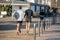 Blind person runs with his premiere along the Barcelona promenade in time of Covid 19 in winter 2021