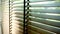 Blinds, Evening sun light outside window blinds, sunshine and shadow on window blind, decorative interior in home