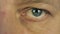 Blinking man eye. Man left eye extreme close up macro view male face. Man read. Looking information. Smiling face. Eye