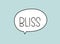 Bliss inscription. Handwritten lettering illustration. Black vector text in speech bubble. Simple outline marker