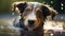 Blissful Canine Reveling in Playful Bubble Bath, Playfully Resting Paws on Tub Rim, Pure Serenity