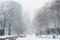 Blizzard conditions during Nor`Easter in New England USA