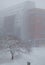 Blizzard at Ithaca College