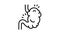 bloating digestion system line icon animation