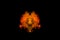 A blob of red and orange smoke in the form of a wavy pattern in the center of the frame depicting the head of a monster or an