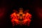 A blob of red and orange smoke in the form of a wavy pattern in the center of the frame depicting the head of a monster or an