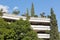 Block of flats in Athens - Trees and plants