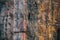 Block of granite with veins of iron ore