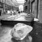 A block of ice and a sculpture of a book in the center of Kyiv, Ukraine