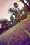 Block-stone paved parkway surrounded by palm trees and flowering shrubs