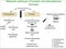 Blockade of metabolic pathways of some amino acids