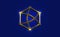 Blockchain Logo Template. Technology Design. Cryptocurrency, Icon of chain of spheres connected with dynamic arrows. Gold Vector