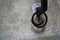 Blocker Tie Ring for horse, Ornate iron horse tie ring on the facade of medieval castle, Torino, Italy.