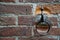 Blocker Tie Ring for horse, Ornate iron horse tie ring on the facade of medieval castle, Torino, Italy.