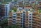 Blocks of flats in the Zigong city