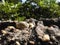 Blocks of old stone wall at noon in the backyard