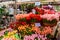 Bloemenmarkt, the floating flower market in Amsterdam