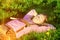 Blond bavarian man sleeping in the grass