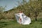 Blond blooming garden. A woman in a white dress walks through a blossoming cherry orchard. Long dress flies to the sides