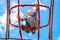 Blond boy perched on a web rope-ladder structure in a children`s playground for fun climbing