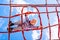 Blond boy perched on a web rope-ladder structure in a children`s playground for fun climbing