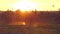 Blond Boy Runs Among Dove on a Lake Shore at Sunset. They Take Off in Slo-Mo