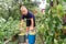 A blond boy and two buckets of pears. harvest in the garden. child helper in the garden