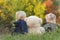 Blond brother and sister sit in clearing with large teddy bear. Siblings on autumn day. Back view