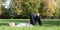 Blond cheerful lying on green grass