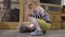 Blond child feeding rabbit at zoo farm. Gimbal motion