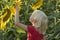 Blond child touches the sunflower. Boy on green field of sunflowers. Happy holidays