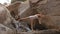 Blond Girl Balances on Leg Hands Forward by Waterfall