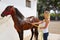 Blond girl cleaning brown horse with hose water