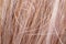 Blond hair, macro human shiny bleached hair textured with highlight close-up
