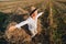 Blond little boy having fun jumping on hay in field. summer, sunny weather, farming. happy childhood. countryside