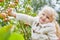 Blond little girl with apple tree