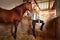 Blond woman on an indoor stable with horse