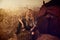 Blond woman on an indoor stable with horse