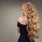 Blond woman with long beautiful hair. Back view.