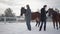 Blond woman and man leading two brown horses at the snow winter ranch. One animal stopped and wants to go further. Happy
