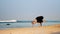 Blond woman meditates in yoga pose crow on sandy ocean coast