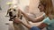 Blond woman stroking beautiful labrador retriever dog at home, lovely house pet