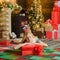 Blonde beautiful young woman lie behind her christmas gift at amazing decorated atmosperic background. Ctristmas tree